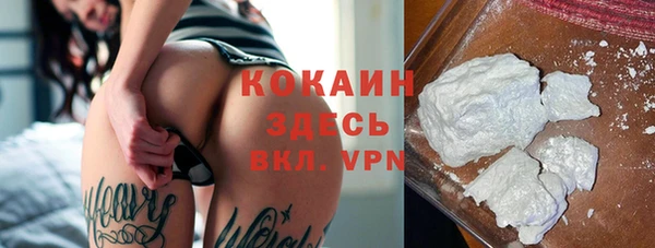 стафф Сосновоборск