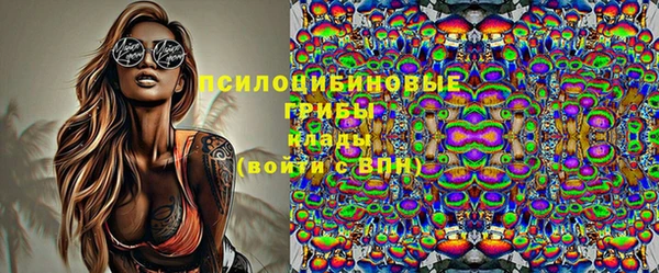 PSILOCYBIN Сосновый Бор