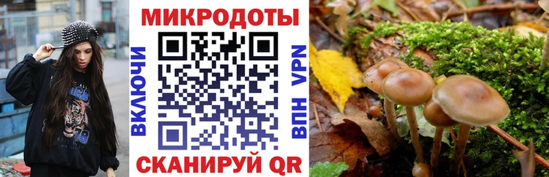 Галлюциногенные грибы ЛСД  МЕГА   Шарья 